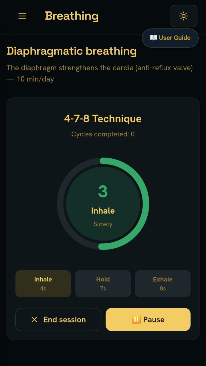 StomachEaser guided breathing session